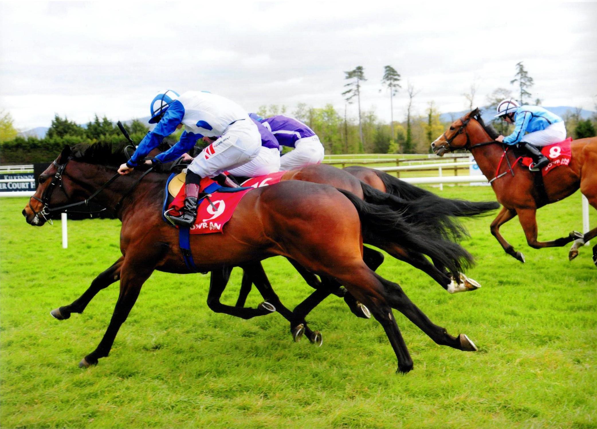 TONY THE GENT battles to the line at Gowran 24 April 2016